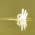 One