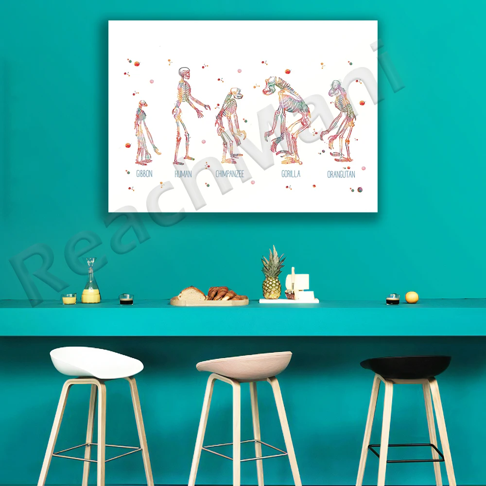

Monkey skull watercolor print, gorilla and baby orangutan, gibbon chimpanzee, human gorilla anatomy print for science art poster