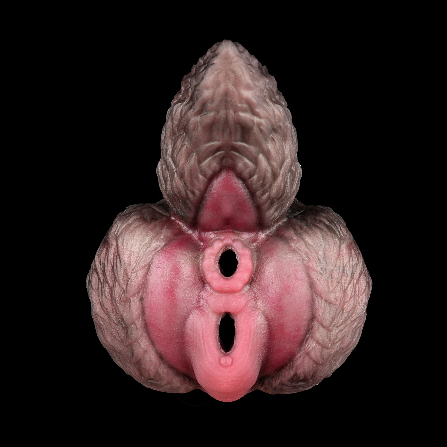 No image