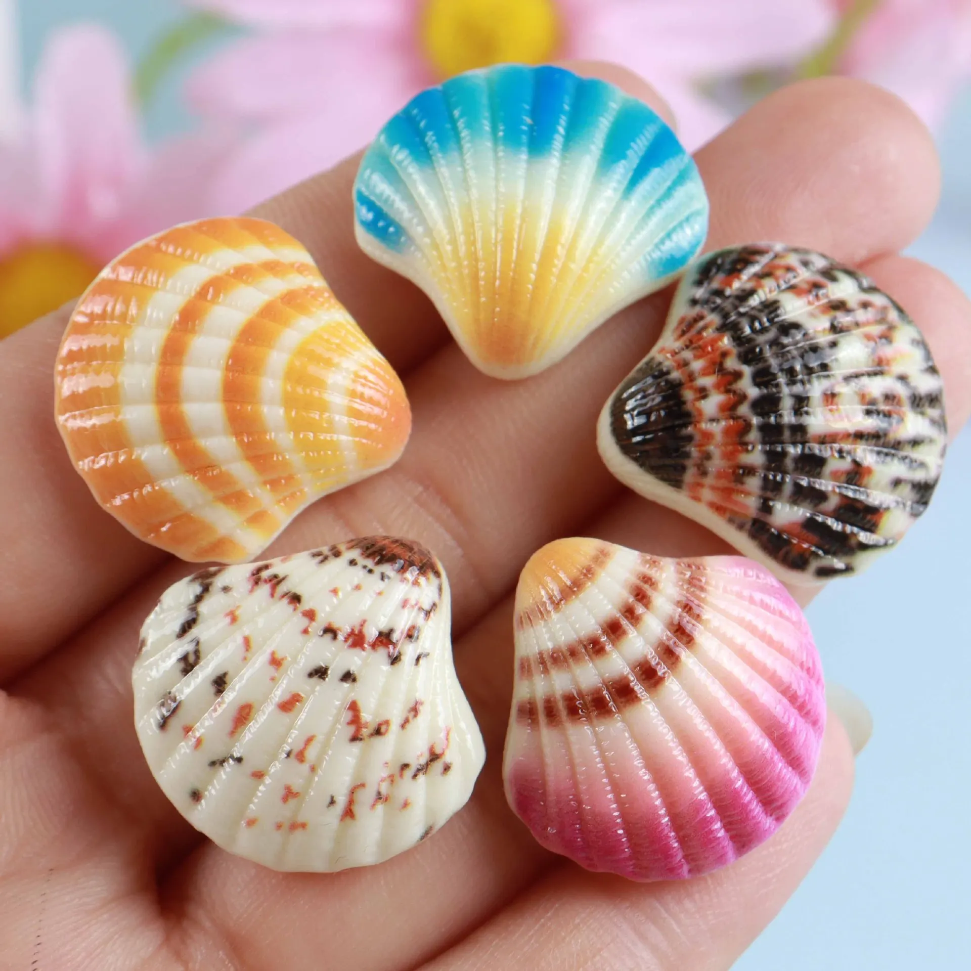 5/10/20pcs Colourful Mini Shells Miniature Items Sea Figures Plate Scrapbooking Craft Seashell Decorations for Wall Refrigerator