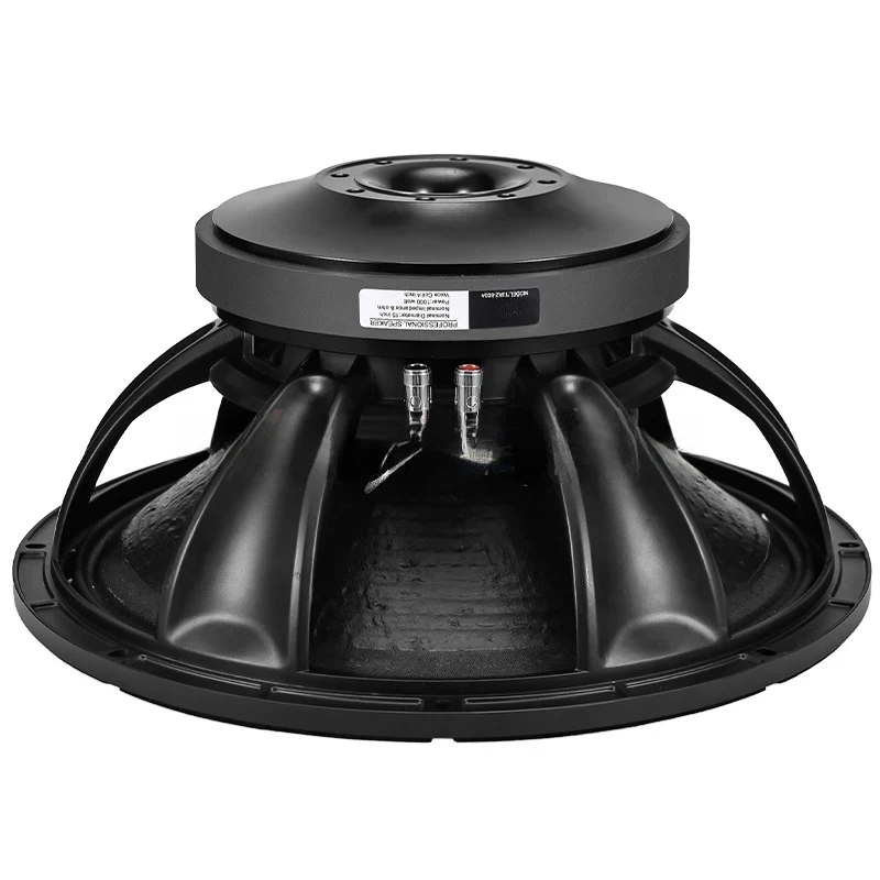 220 Magnets, 100 Cores, High-Power, Subwoofer, Full Range Stage Ring, 15 Inch Bass Speaker, 1000 Watts