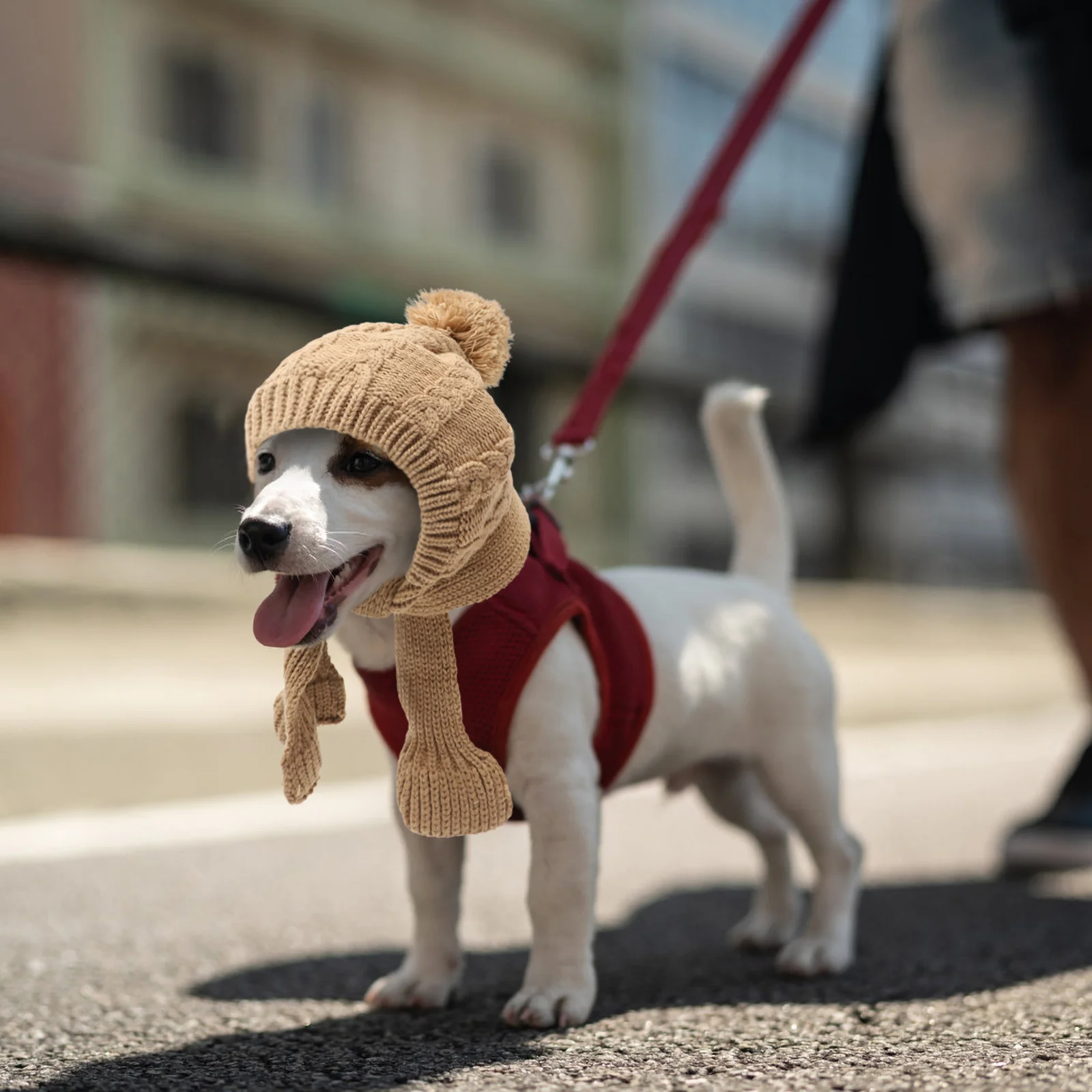 

Dog Winter Hat with Knitted Scarf Warm Lined Pet Cap Adjustable for Small Medium Dogs Multi-Functional Knit Headgear