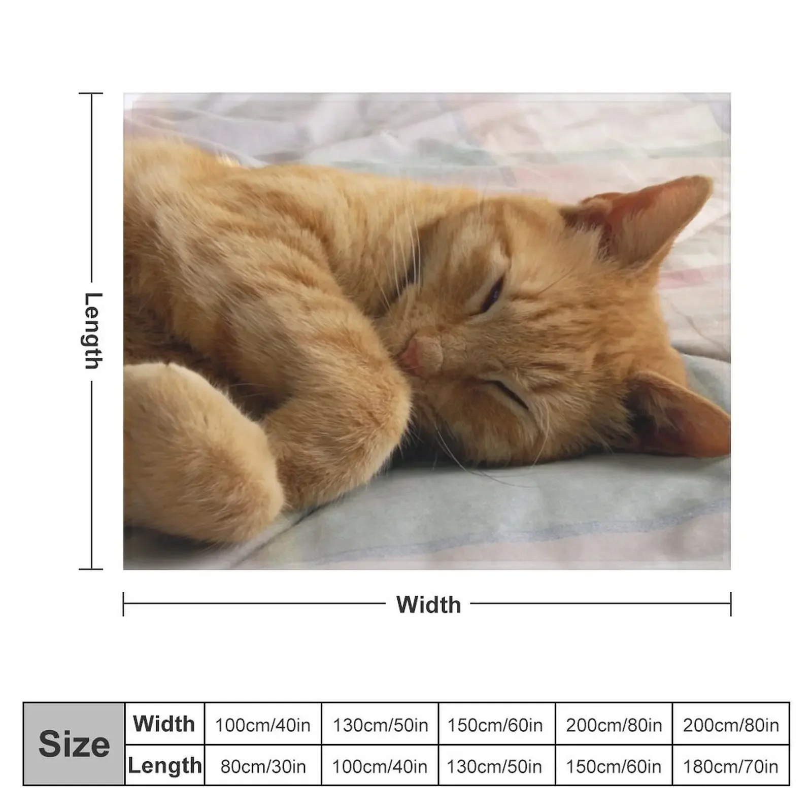 Ginger Cat Sleeping Throw Blanket Fashion Sofas For Baby christmas gifts Shaggy Blankets