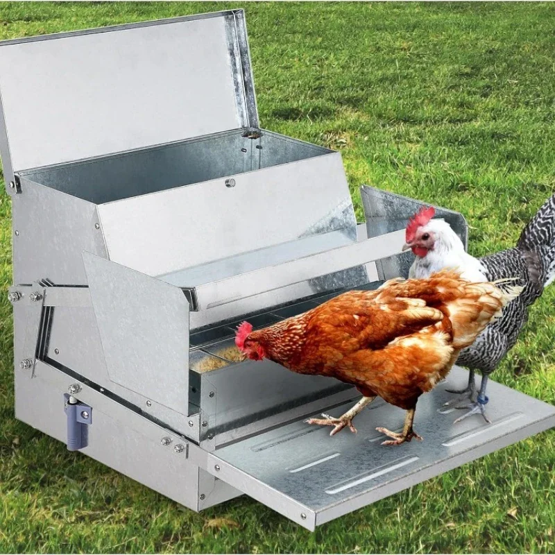 

Poultry feeder, chicken trough, chicken feeder