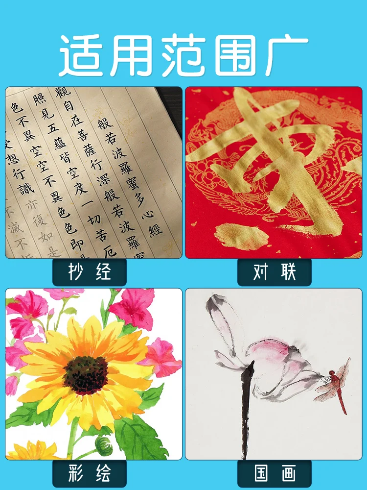 YIDEGE 100 g farbige flüssige Sumi-Tinte für professionelle traditionelle Kalligraphie, Pinsel, Malerei, Schreiben, traditionelle Kunstwerke, Manga