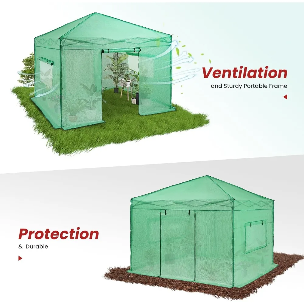 Imagem -04 - Estufa Portátil Resistente Walk-in Estufa Instantânea Pop-up Interior e Exterior Planta Jardinagem Casa Verde Dossel 10 x 10
