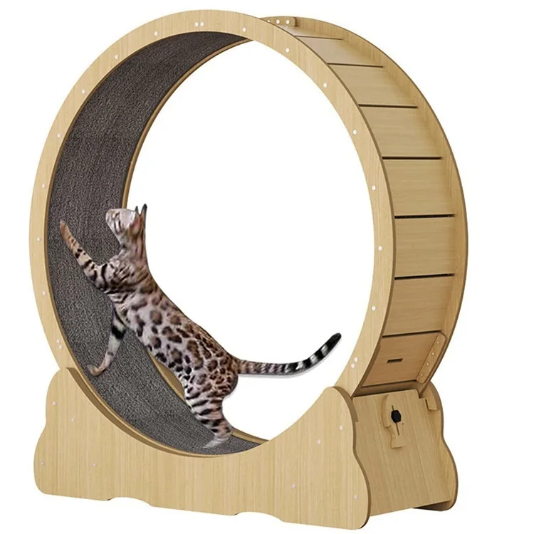 

Easy Assembled Indoor Pet Cat Exercise Running Wheel Cat Treadmill for Fitness Weight