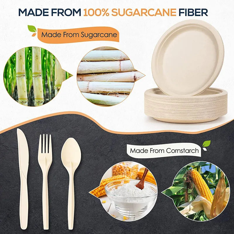 30 Pcs 8 9 Inch Disposable Sugarcane Plates Eco-Friendly Paper Plate for Party Picnic Camping Birthday Unbleached Degradable