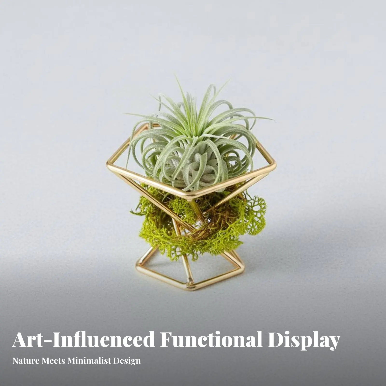 Geometric Air Plant Holder Desktop Decorative Piece Geometric Wire Holder European European Design Hollow Design for Homeowners