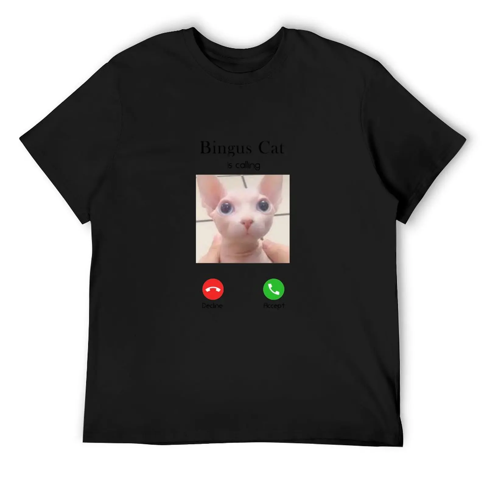 

Bingus Cat is calling, Bingus cat memes T-Shirt sweat Louboutins anime tshirt heavy weight t shirts for men