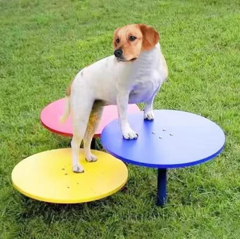 Easy Assembly And Eco-Friendly Pet Training Equipment Modular Agility Training Platforms For Outdoor Training Sessions