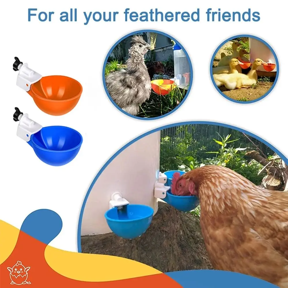 4PCS Automatic Chicken Water Feeder Drinking Cups Poultry Kit for Chicks Duck Goose Turkey Quail Feeding Watering Supplie