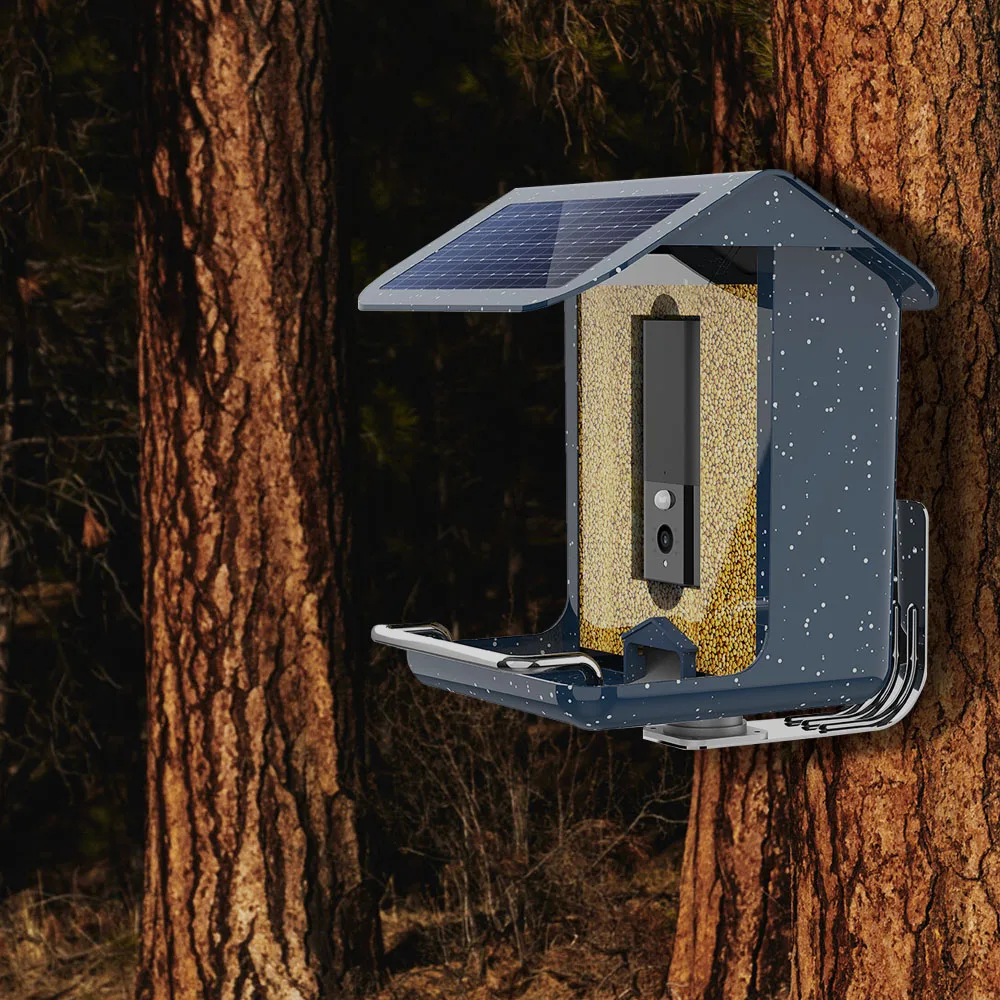 Solar Charging Smart Bird Feeder With Camera WiFi App Installation