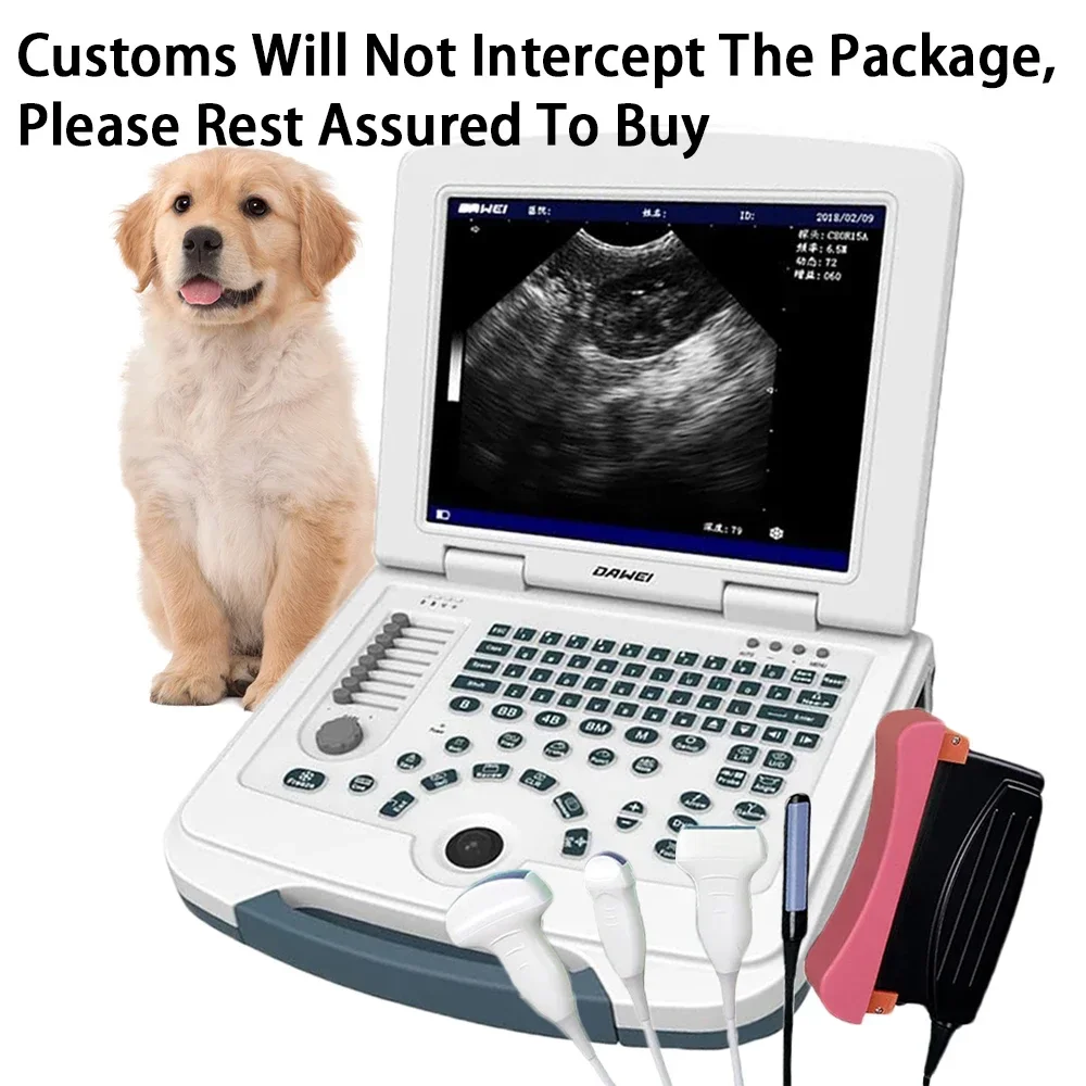 

Veterinary Ultrasound Machine Portable Laptop Pre gnancy Scanner Probes (B, BB, 4B, B+M, M) for Animal Hospital Home Farm