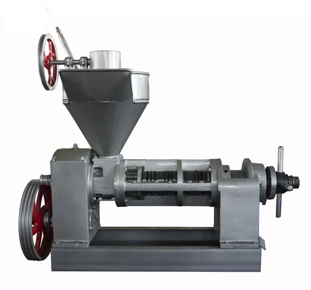 200 Kg/h Hot Sale 6YL-100 Sunflower Rapseed Automatic Screw Oil Press Machine 2024 Hot Sale