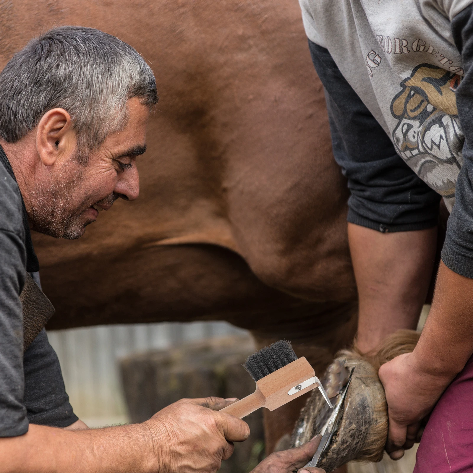 

Horse Hoof Brush Cutter Premium Material Easy Storage Comfortable Grip for Cattle Sheep Donkey Nail Trimmer Hoof Repair Tool