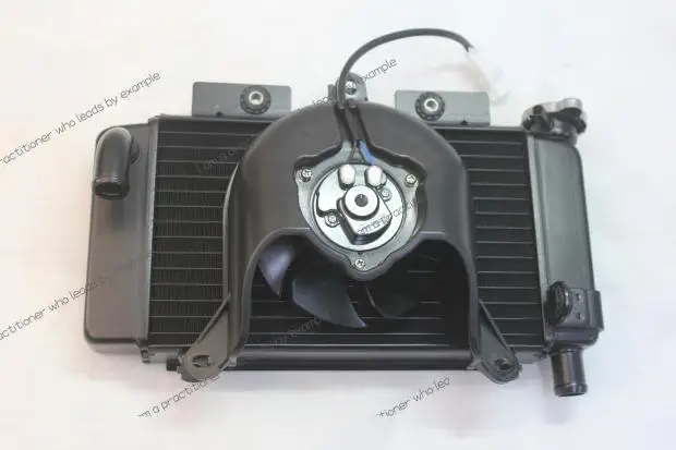 Applicable To CF Spring Breeze Motorcycle Parts 250NK 250SR Water Tank Fan Radiator Assembly