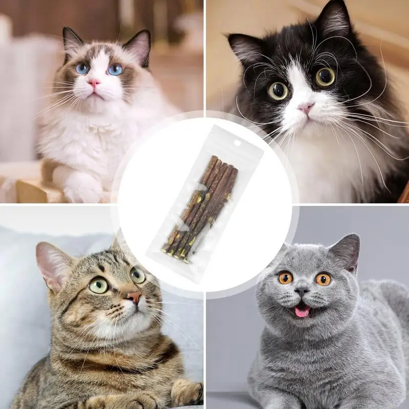 5Pcs Natural Cat Catnip Teeth Molar Stick Pet Cat Snacks Cleaning Teeth Tools Cat Treat Toys Increase Appetite