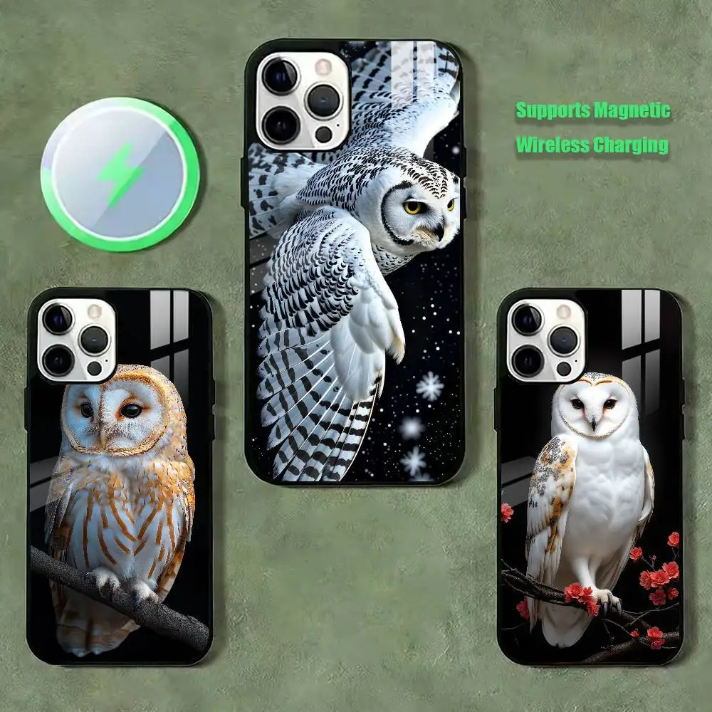 

Cool Cute O-Owl Phone Case For iPhone17,16,15,14,13,12,11 Plus,Pro Supports Magnetic Wireless Charging