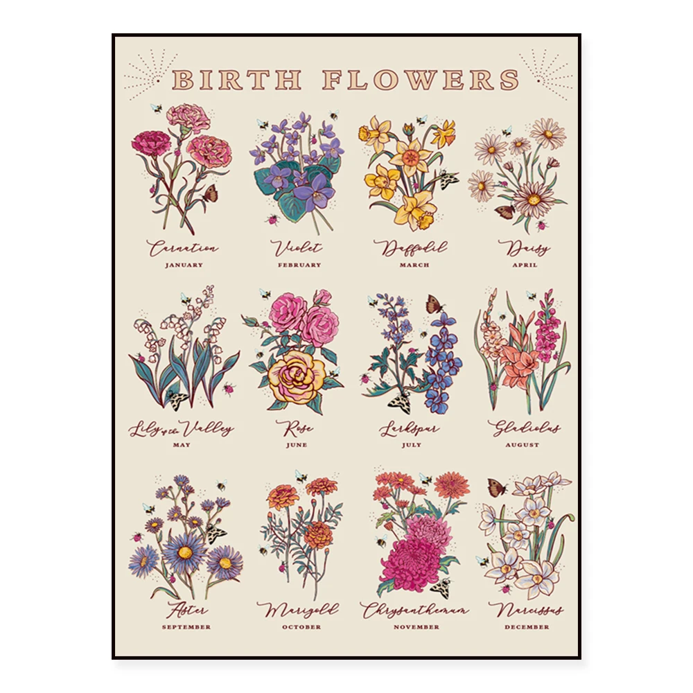 Nativity flower poster, flower language, daisy, magnolia, carnation, rose, flower meaning seed packet style, flower market