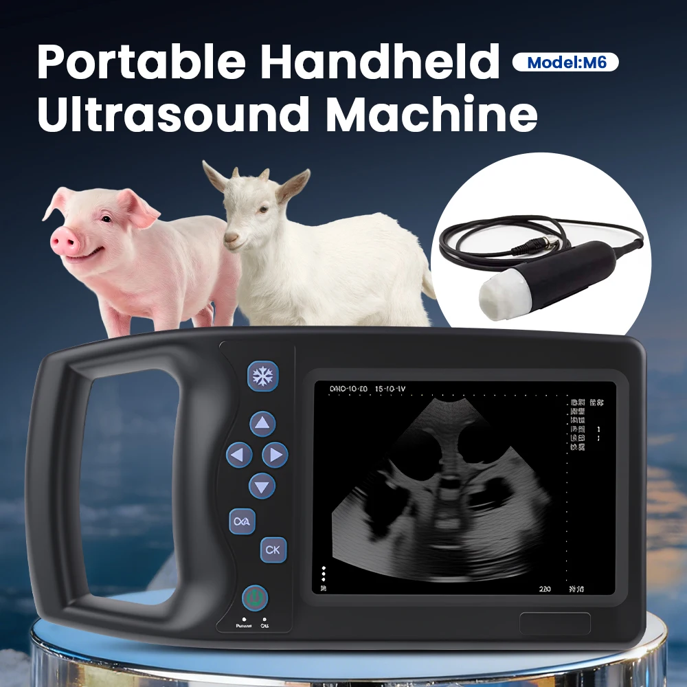 

5.7 Inch LCD Screen Portable Veterinary Ultrasound Scanner For Animal Ultrasound Pregnancy Testing Machine Color Medical machine