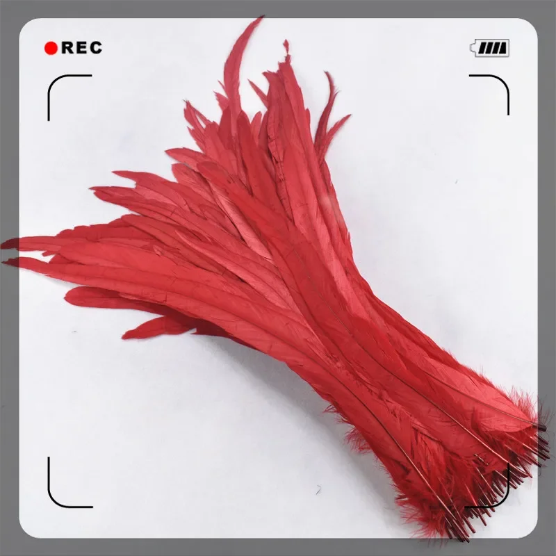 50 Stück farbige Hahnenfeder, 35–40 cm (14–16 Zoll), Hahnenfedern für Bastelarbeiten, Hochzeitsdekoration, Kleidungszubehör, DIY – Detail 3