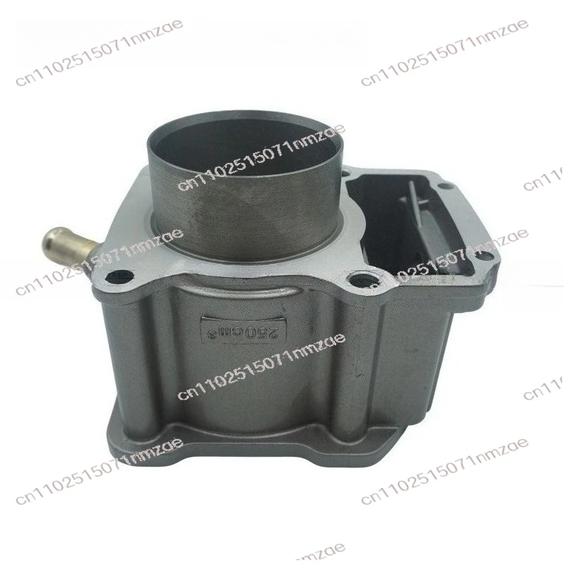 CG250 ZS250 Water-Cooled Cylinder Kit 67mm for Zongshen Motorcycle, Piston, Cylinder, Gasket & Seal Set