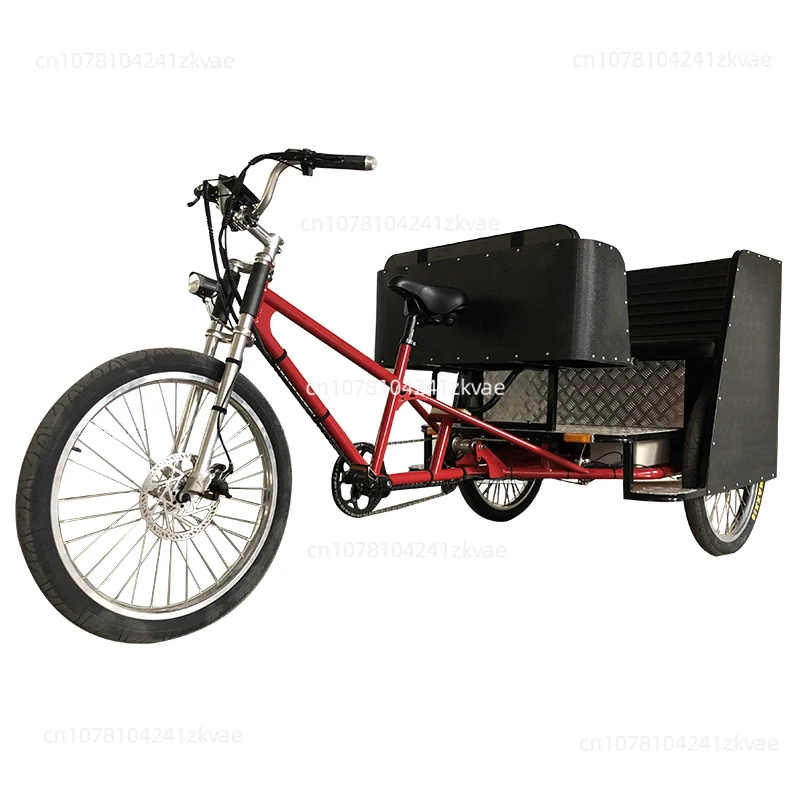 China Open Three Wheel Electric Passenger Tricycle with Roof for 2 Adults and 2 Kids