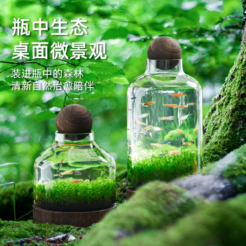 Ecological Bottle Micro Landscape Glass Ecological Fish Tank Diy Material Small Fish Ecological Bottle Water Grass Bottle Water