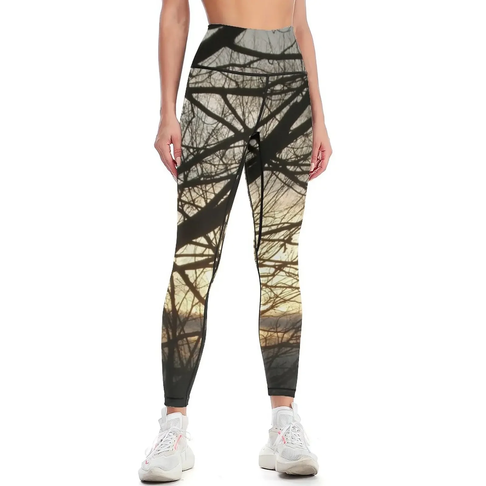 

Branches at Sunset Leggings gym clothing sport pants Sports pants woman Women's sports pants Womens Leggings