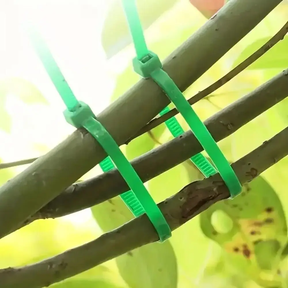 100Pcs 13/17/23cm Plant Cable Ties Reusable Adjustable Garden Self-locking Cables Ties Nylon Zipper Cables Ties