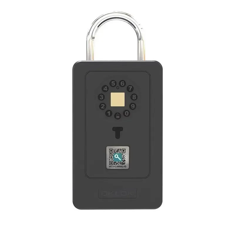 

Smart Lock Decoration Fingerprint Password Key Box Homestay Wall-mounted Storage Box Password Lock Metal Anti-theft Door Cat Eye