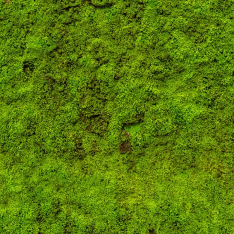 

1/10 LCG Low Center of Gravity Metal Transmission R2 for SCX10/TRX4/RC4WD Capra - Aluminum Housing+ Steel Gears DIY Upgrade Part