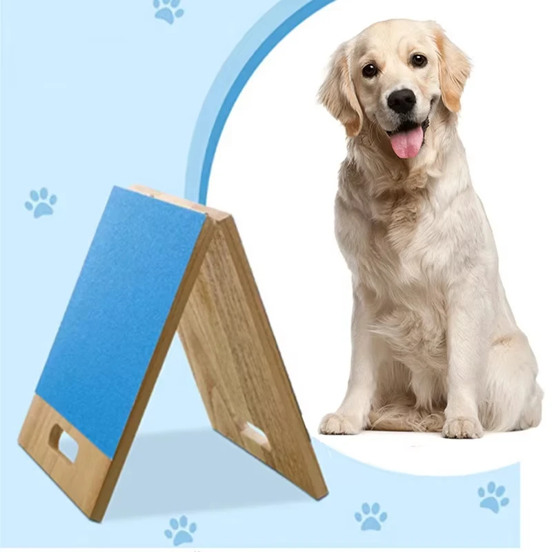 Top Seller Ultra Durable Non-Toxic Eco-Friendly Rubber Pet Training Pads Interactive Agility Training for Aggressive Chewers