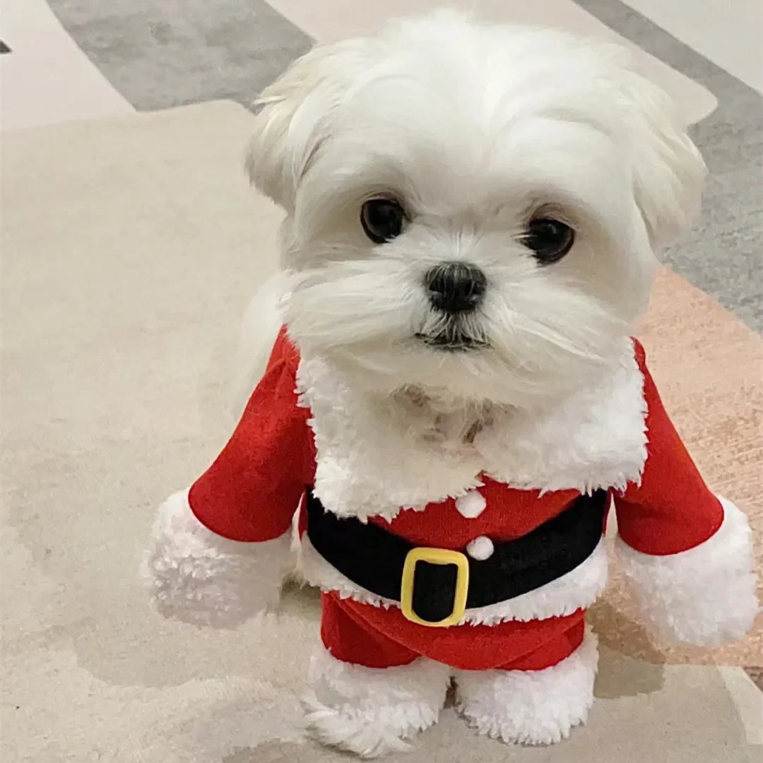 Christmas Dog Clothes Santa Claus Role Play Teddy Bichon Winter Warm Christmas New Year Funny Plush Clothes Pet Supplies