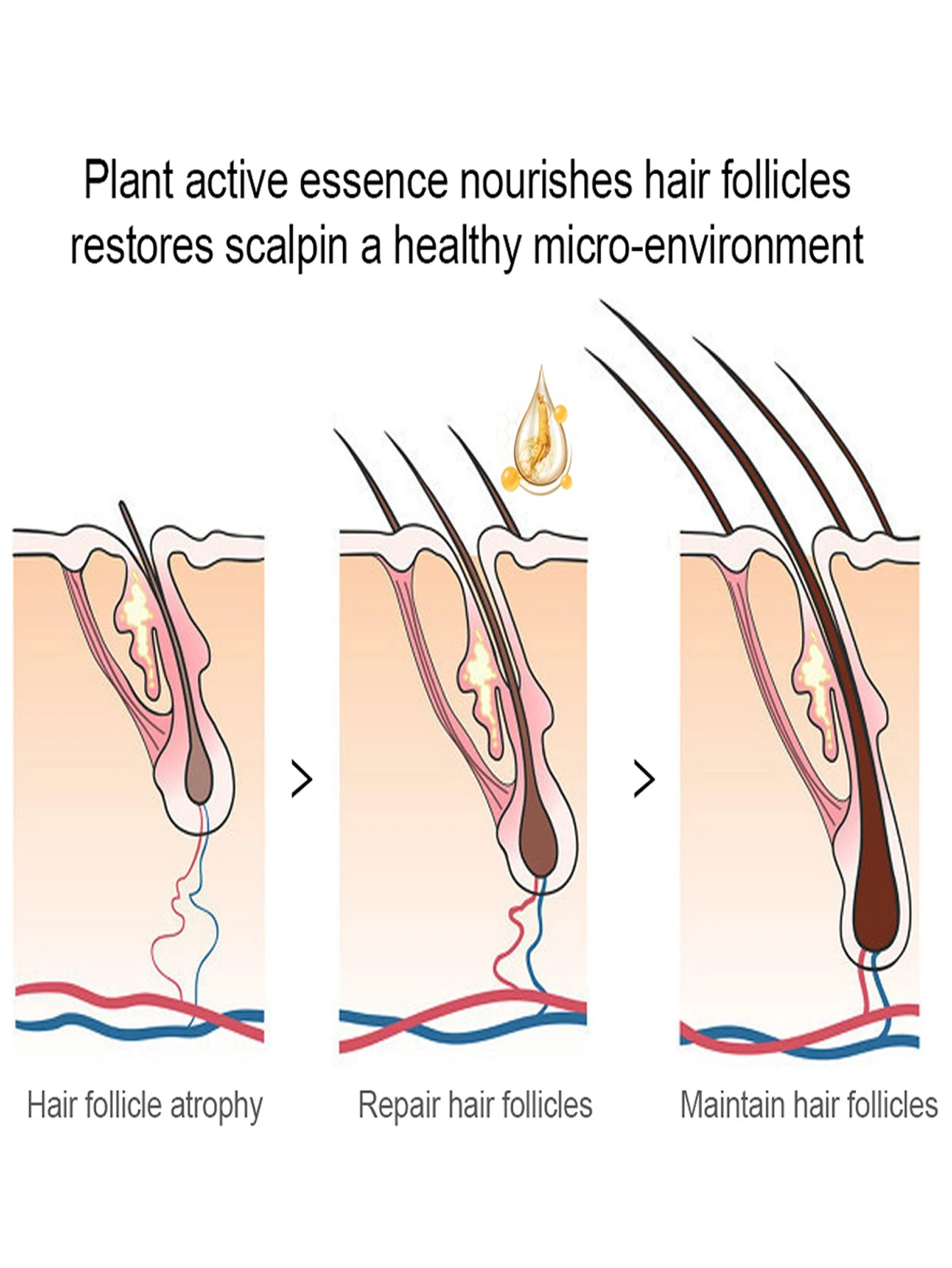 คิ้ว Fast Growth Oil Eyelash Growth Essential น้ำมัน Essence ผมร่วงผมผลิตภัณฑ์