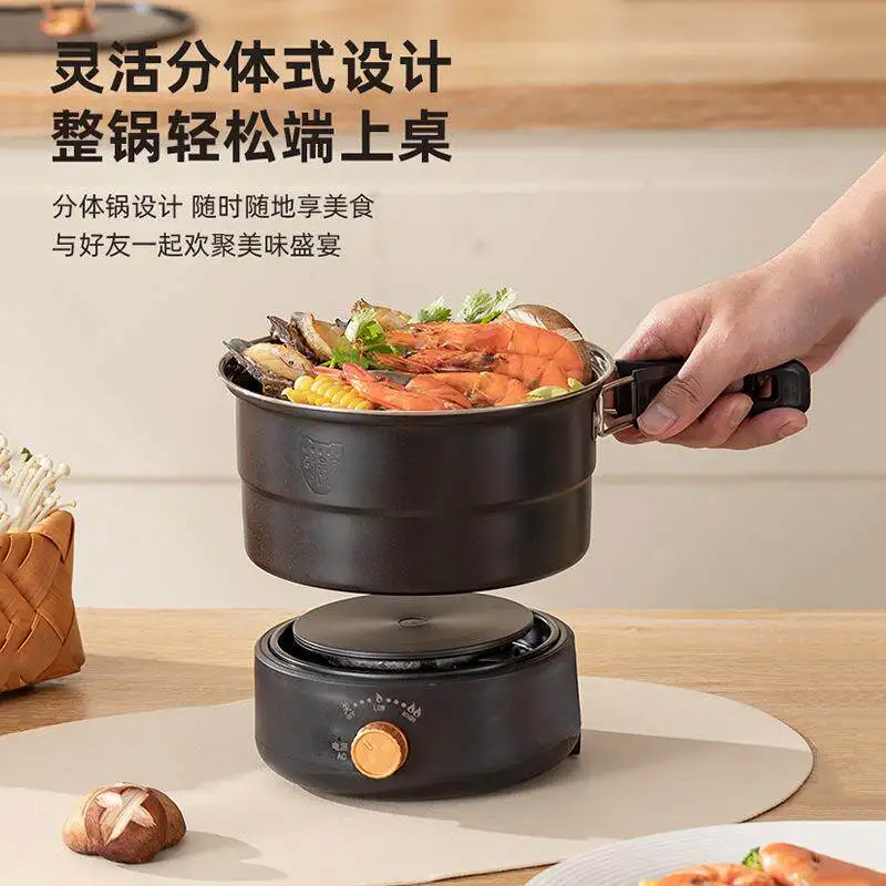 110V/220V Portable Electric Pot - Foldable Travel Cooker for Hot Pot, Frying & Steaming, Detachable Design