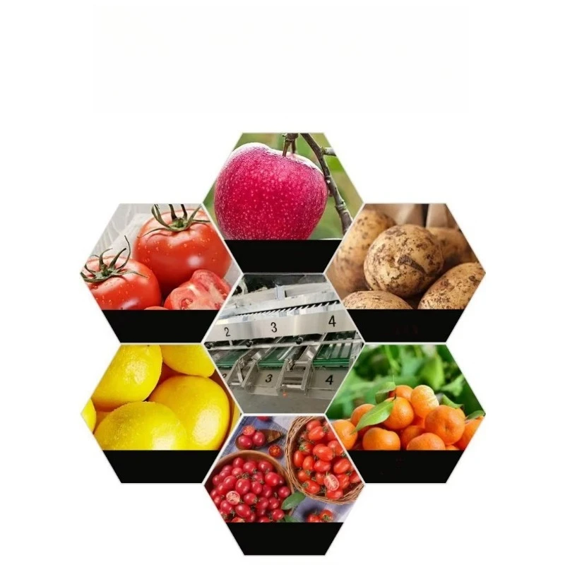 Calibrator Fruit and Vegetable Sorting Machine Tomato Garlic Chili Pepper Onion Carrot Cucumber Mushroom Grading Machine