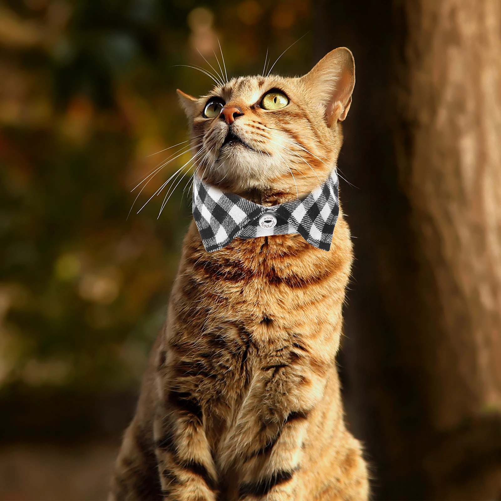 

Plaid Cat Collar Adjustable Skin-Friendly Cute Kitten Bowtie Pet Neckwear For Daily Wear Party Wedding Photo Stylish Decorative