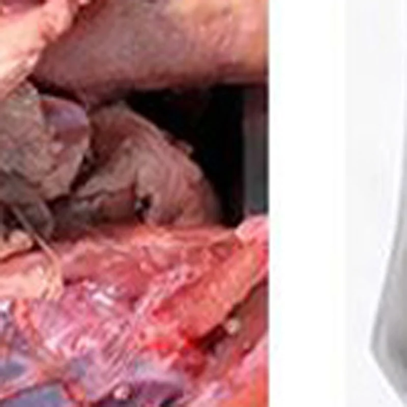 

Коммерческая электрическая мясорубка для дома из нержавеющей стали с простым управлением одной кнопкой