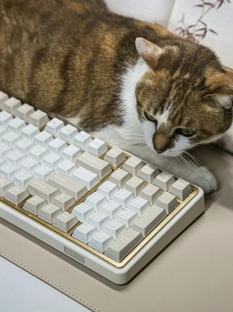 Xoilo minilo 98% minilo98pro Механическая клавиатура Star Sand с 3 режимами и низкой задержкой, горячая вилка, RGB-подсветка, игровая офисная клавиатура