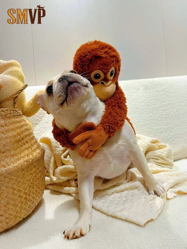 Interactive Monkey Plush Toy with Magic Tape Self-Play Squeaky Pet Toy for Boredom Relief Fun Companion Stuffed Animal for Dogs