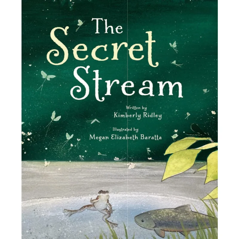 

The Secret Stream Kimberly Ridley Tilbury House 9780884488170 Book