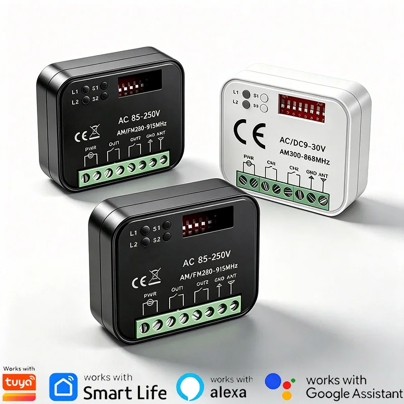 WiFi Universal Work With Tuya RX MULTI Smart Switch Module 2CH Garage Gate Remote Control Receiver 300-868MHz 9-30V 85-250V