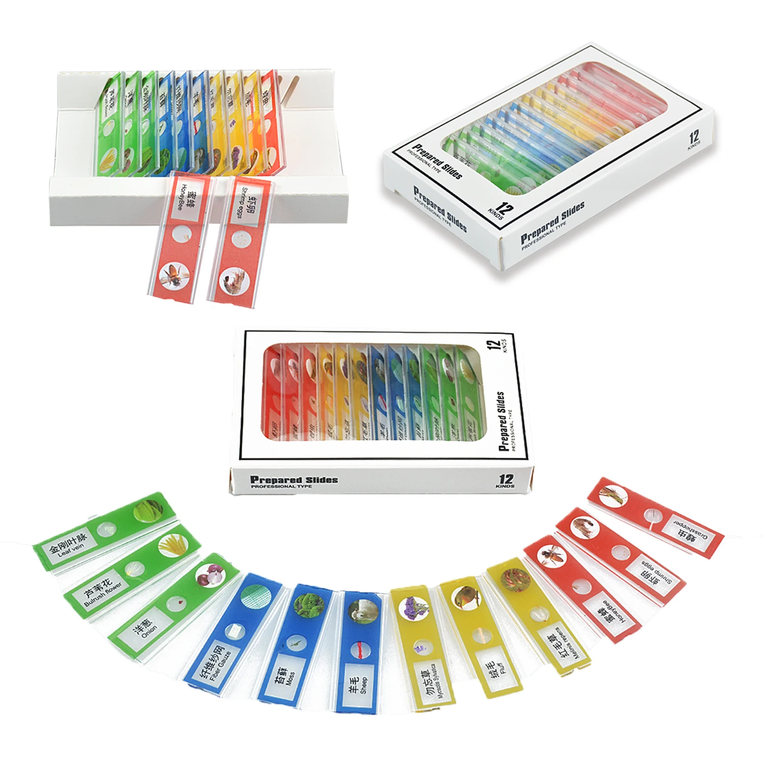 Mini Microscope Handheld Toys kits,  Microscope with LED Lights and 2 AG13 Button Batteries, Biological Science Gifts for Kids