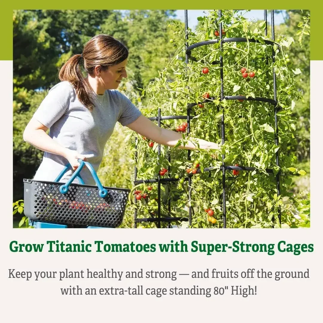 أقفاص طماطم طويلة جدًا قابلة للتخصيص من تيتان، مجموعة من 3 قطع، تعريشة دعم نباتية قوية من الصلب لنباتات التسلق والخضروات، 19-