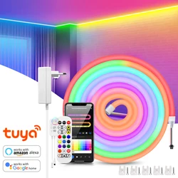 TUYA neonowy pasek głos WiFi 24V RGBIC Dreamcolor Neon sznur oświetleniowy 120leds/m wodoodporna wstążka do domu Alexa Google