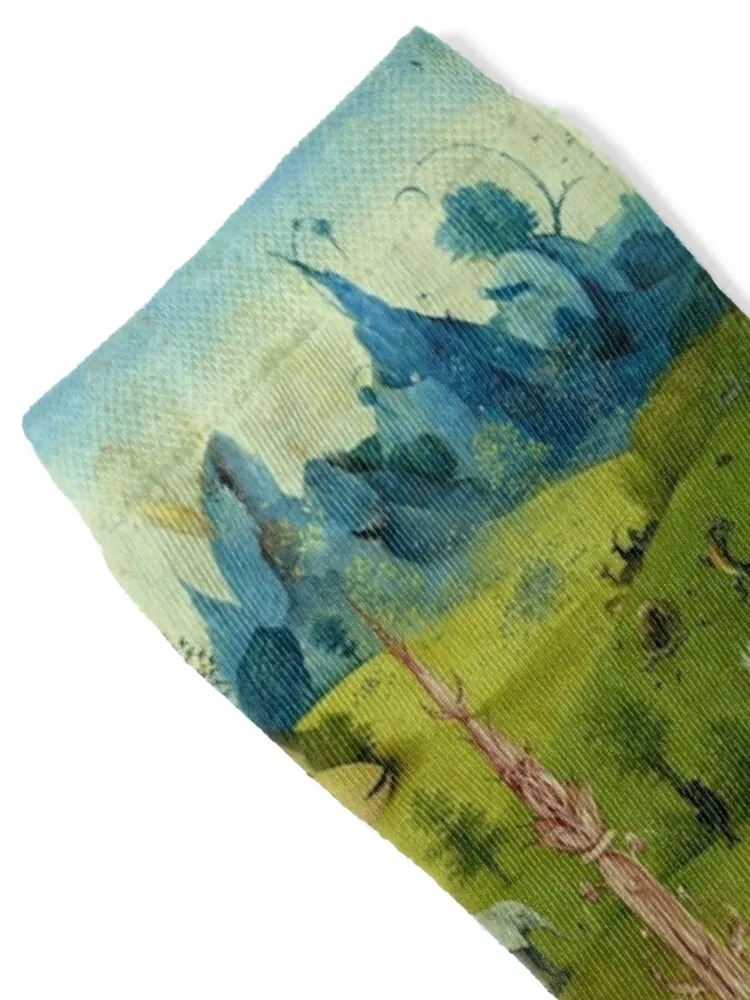 Hieronymus Bosch The Garden of Earthly Delights - The Heaven or The Creation Socks funny sock happy Women Socks Men's