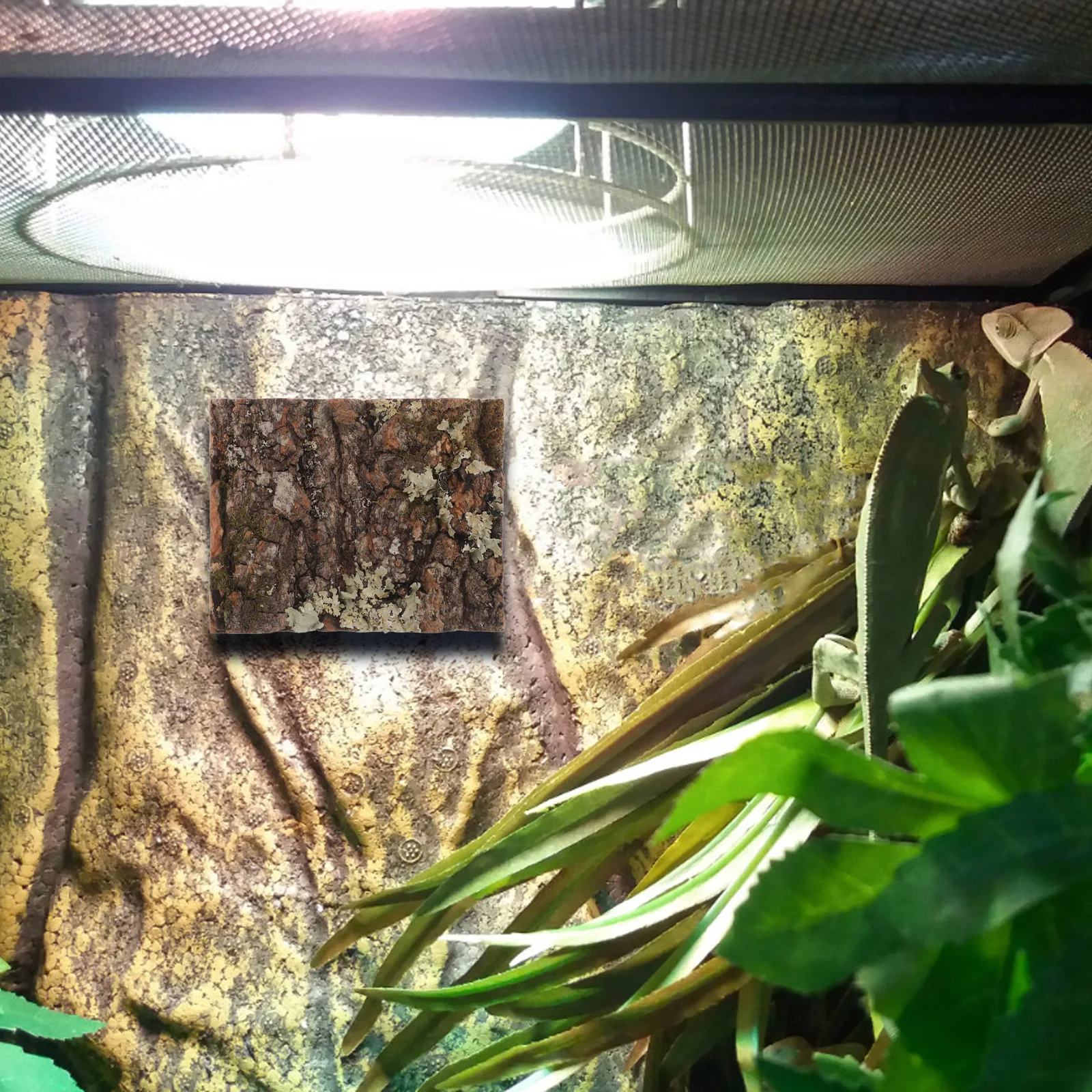 

Cork Bark Hue Tree Bark Reptile Tank Decor Aquarium Background Fish Tank Decorations Indoor Green Plant Wall Terrarium