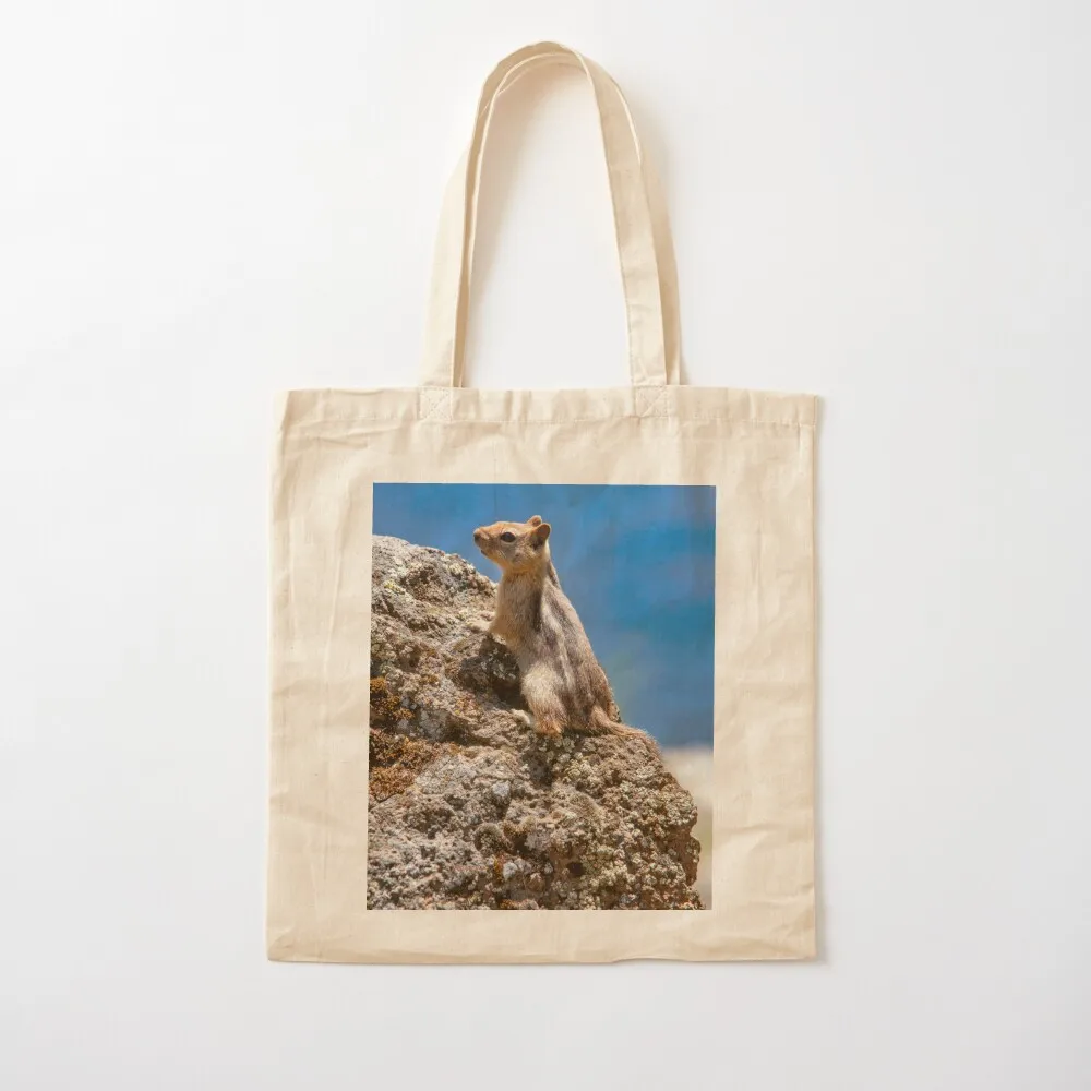 Chipmunk, Sassy Chipmunk, Lava Rock, Blue Sky, by DAM Creative, Tote Bag